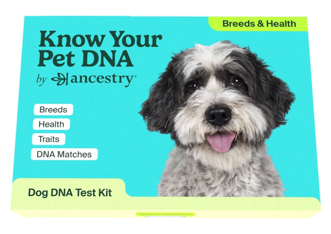 为爱犬保驾护航：Ancestry 推出预知健康风险的宠物 DNA 检测服务